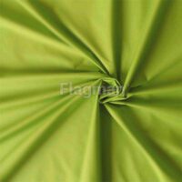 Салатовый (1)